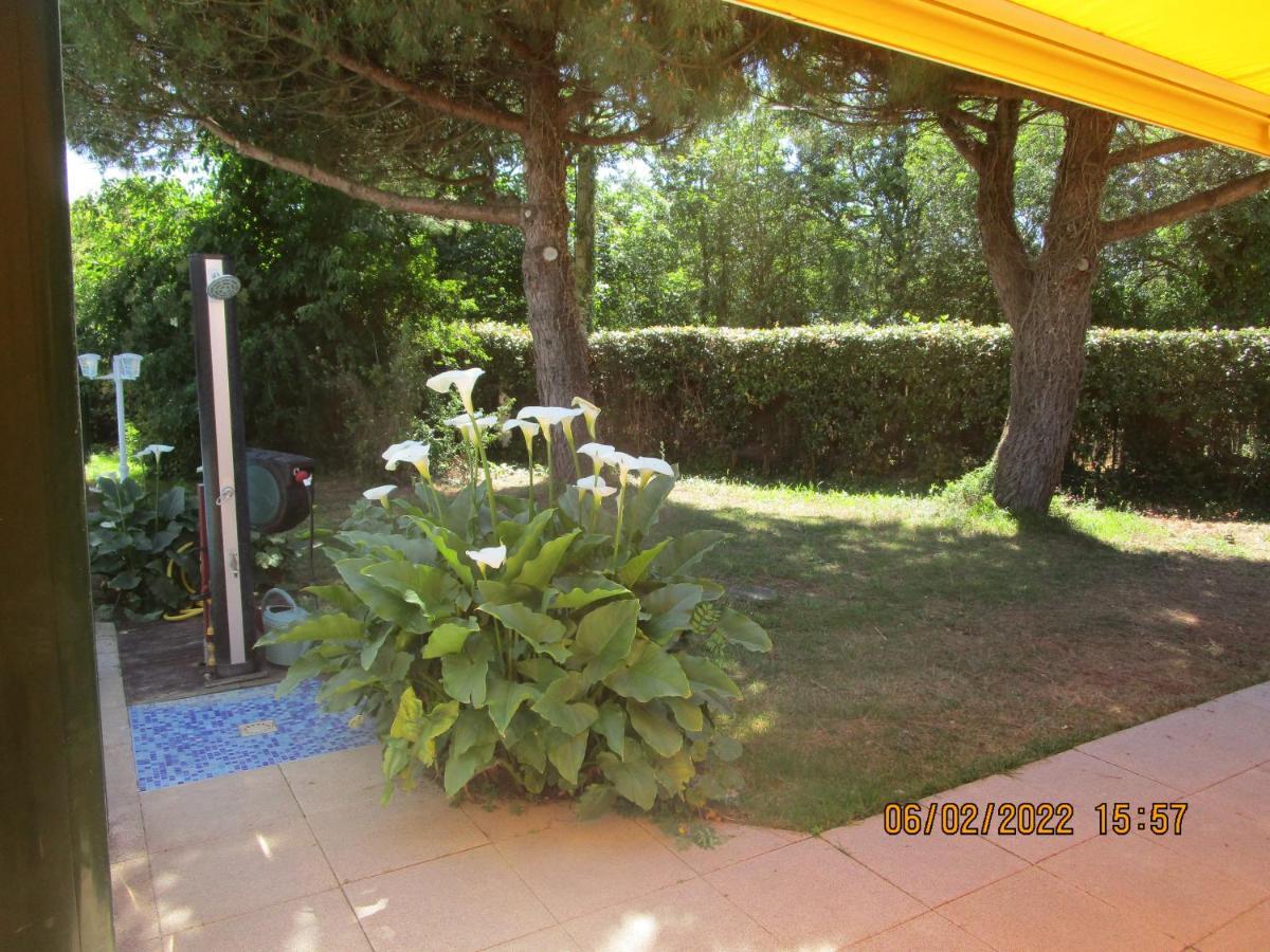 Locatlantique Bed & Breakfast